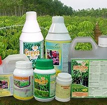 Agrochemical Intermediates